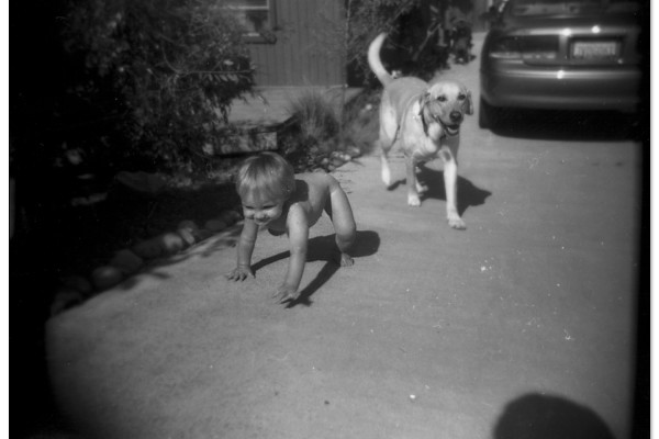 a boy and his dog