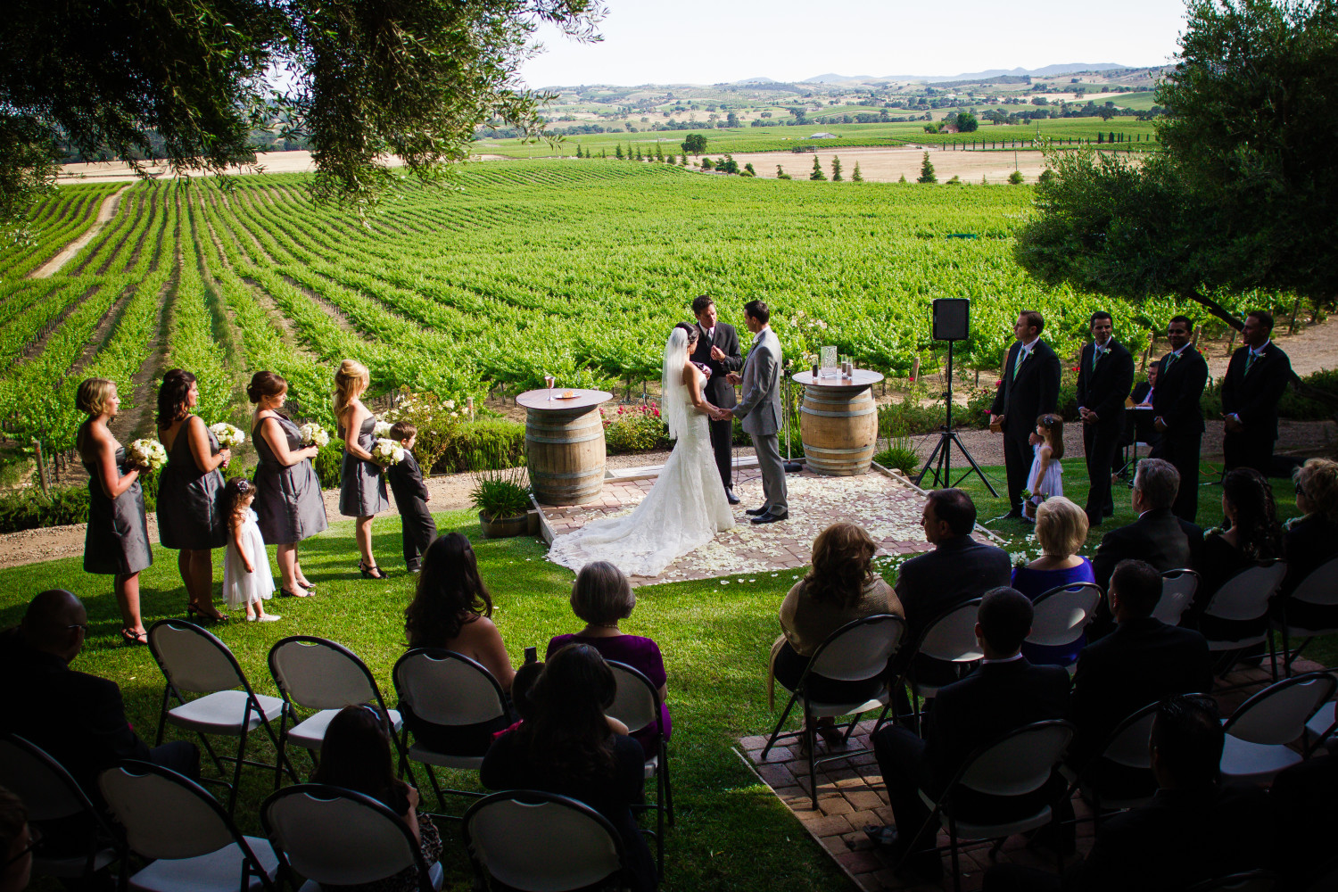 Still Waters vineyard wedding