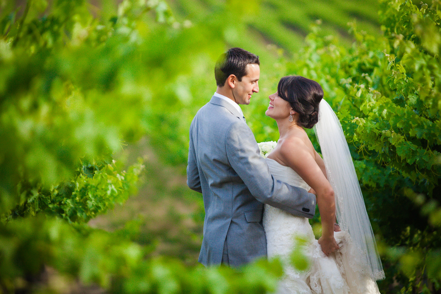 Wedding portraits in the vineyard