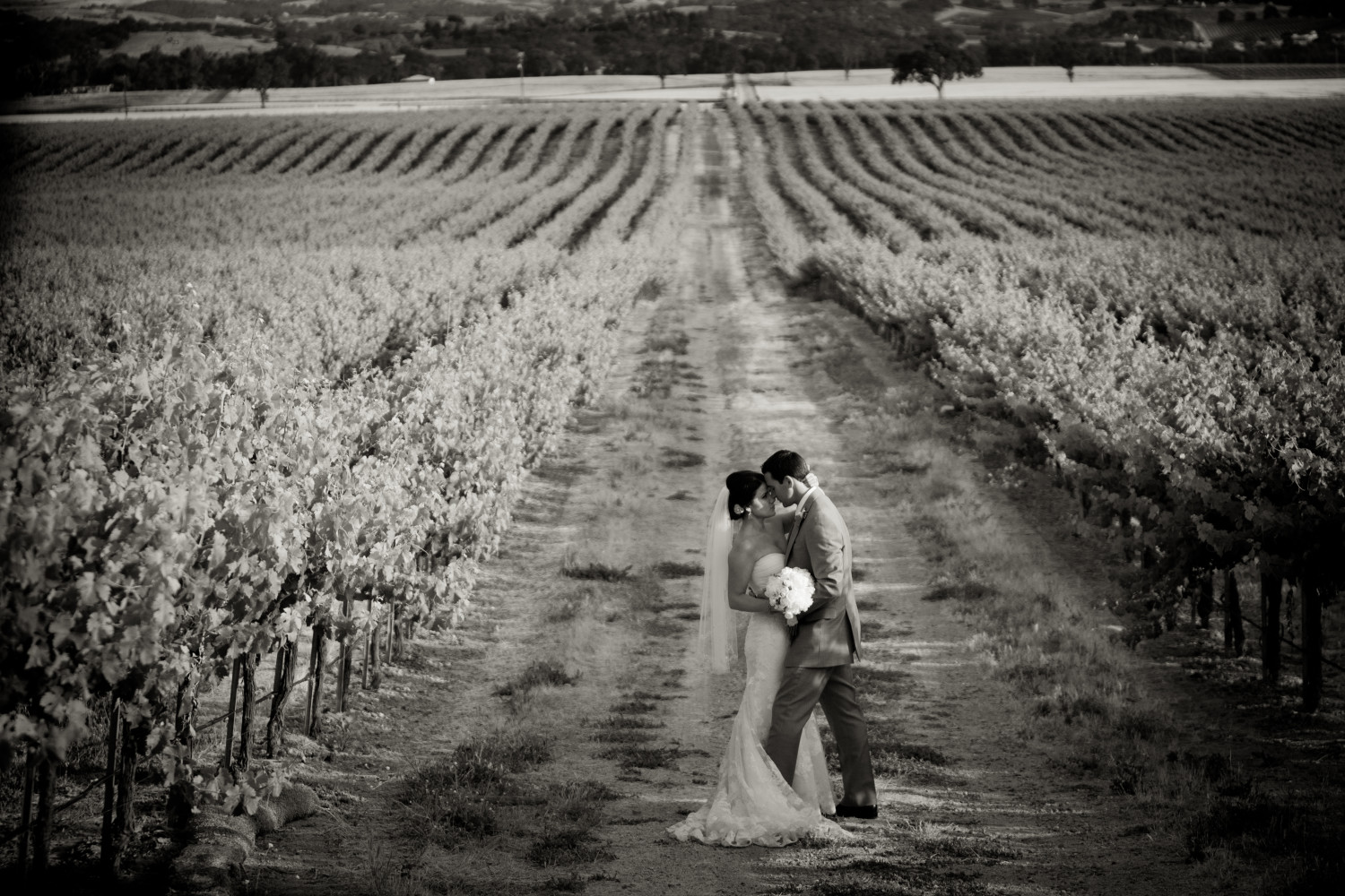 A beautiful San Luis Obispo wedding venue