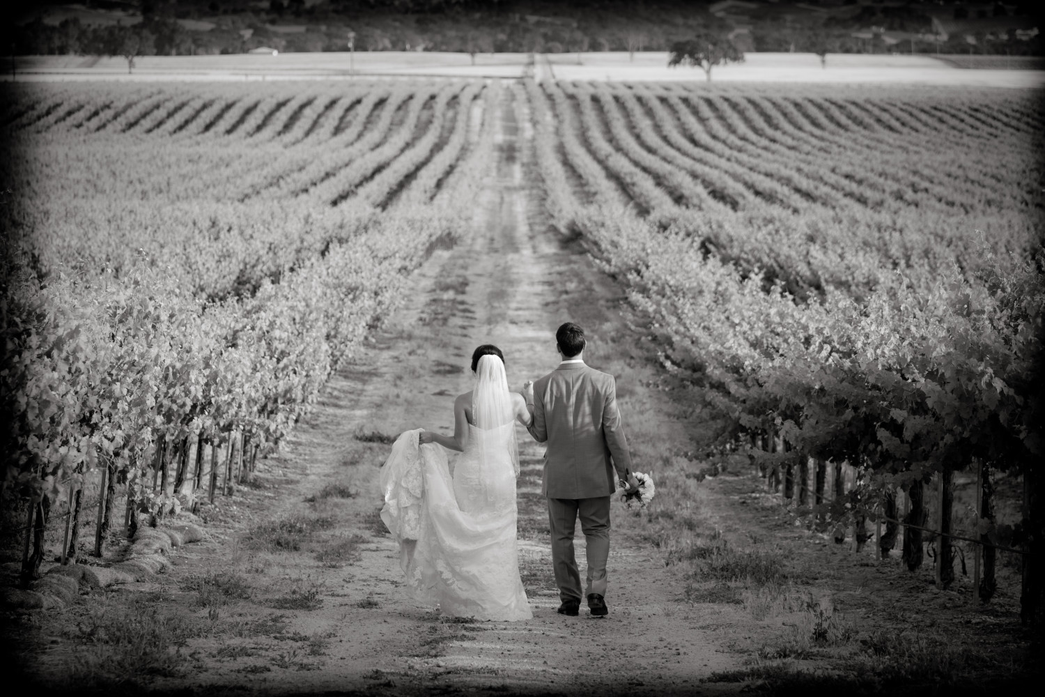 A final portrait of the wedding couple in the vineyard