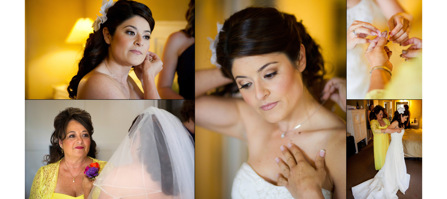 wedding photographers san luis obispo ca